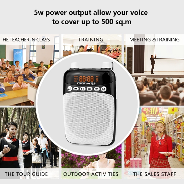 S308 Voice Amplifier